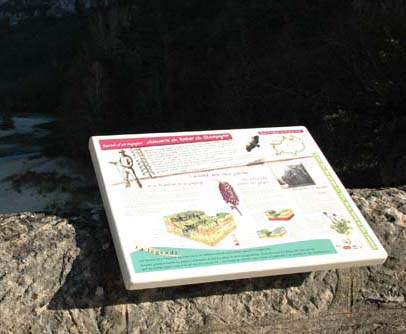 découverte des gorges du Tarn en Lozère